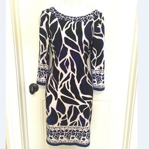 Muse For Boston Proper Stretchy Shift Dress